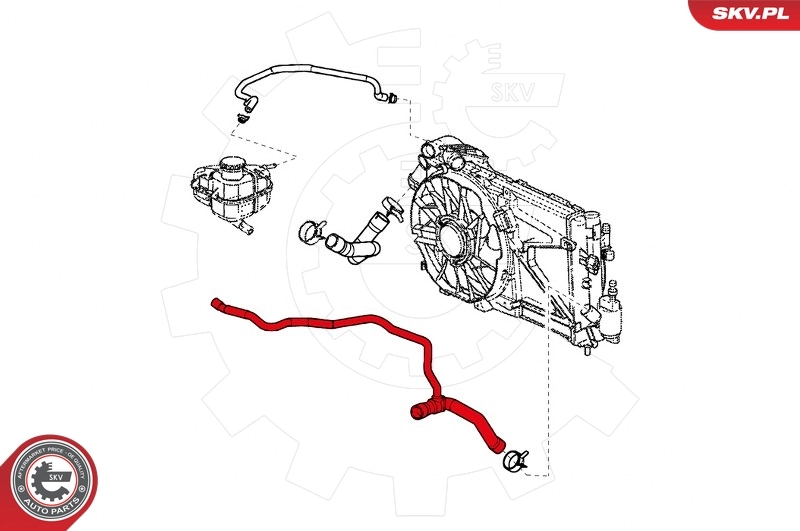 Radiator Hose